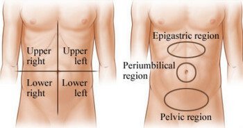 Abdominal Quadrants