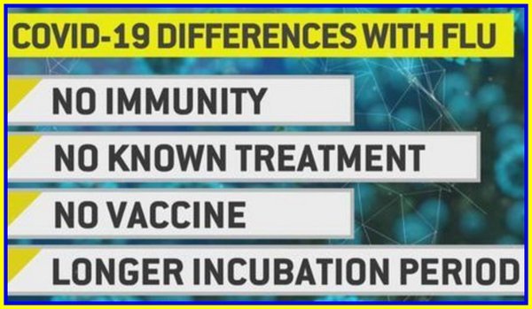 The image sums up the difference between flu and COVID-19 and why the latter is more dangerous.