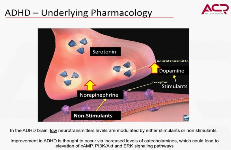 adhd pharmacology